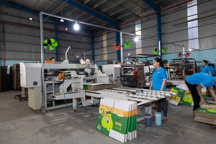 Hình ảnh nhà máy bao bì Nam Phương - Bao Bì Nam Phương - Công Ty TNHH Sản Xuất Thương Mại Nam Phương